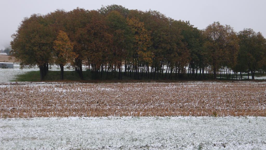 Il Melograno Panzió Borgo San Dalmazzo Kültér fotó